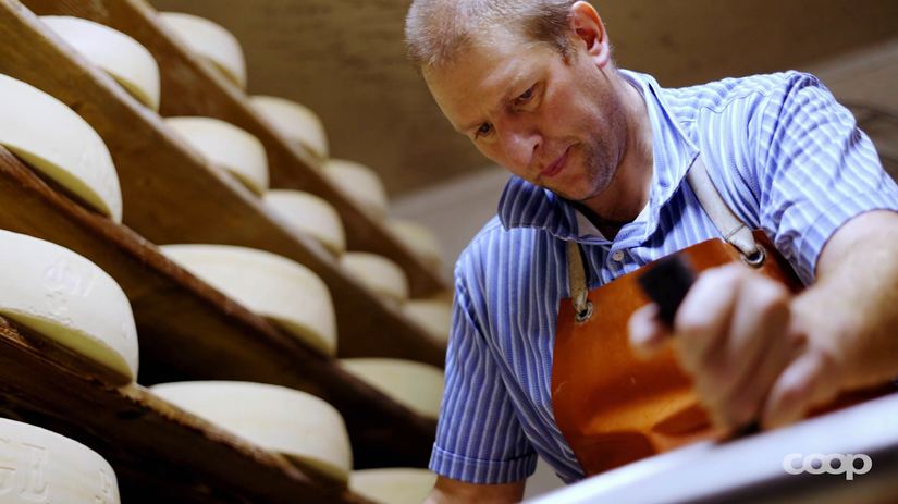 Tatendrang - Fredy Hauser